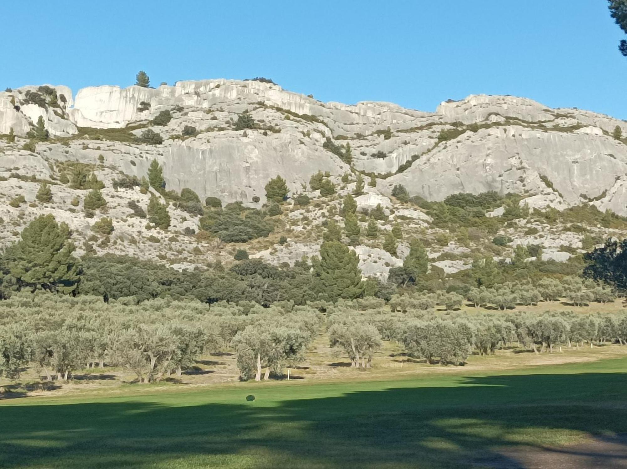 Chambre D'Hote Au Coeur Des Alpilles 무리에 외부 사진